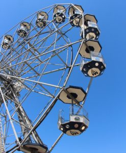 Cosa significa "fare un'analisi"? 1 ruota-che-gira
